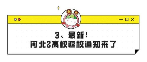 揭秘！如何巧妙查看老公的微信聊天记录，安全又有效！