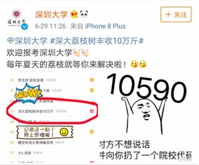 为什么你的羊小咩便荔卡提现总被拒？3大常见原因+解决攻略，手把手教你过审！