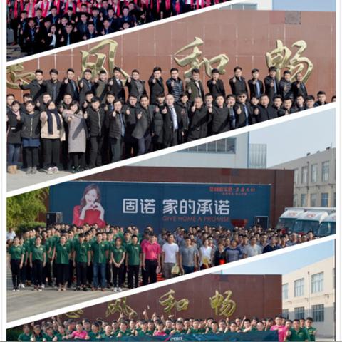 探索固诺家居，一个品牌的深度解析
