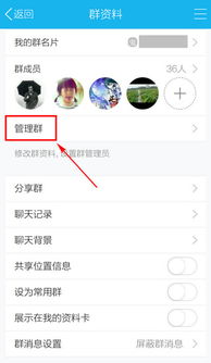 轻松掌握！教你如何查看手机上QQ聊天记录