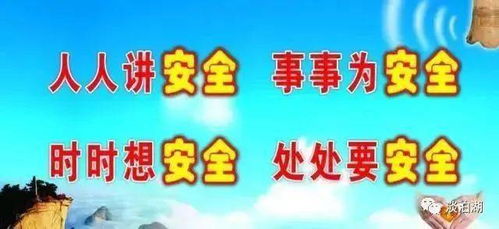 羊小咩便荔卡提现攻略，轻松操作，安全到账！