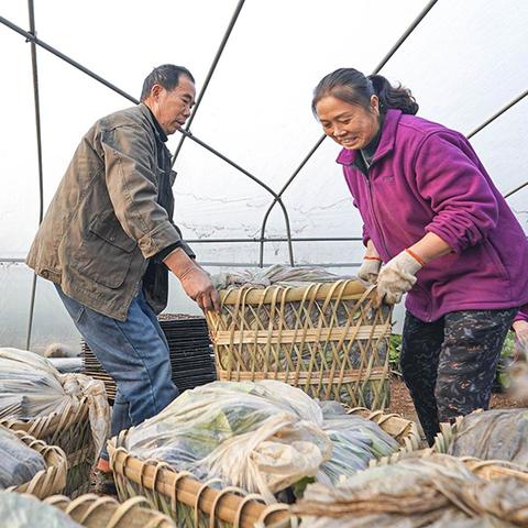 渠县餐饮品牌，味道与文化的交响曲
