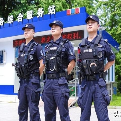 揭秘网络查宾馆开房记录的真相