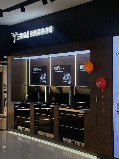 探索本土品牌高端家电的卓越之旅