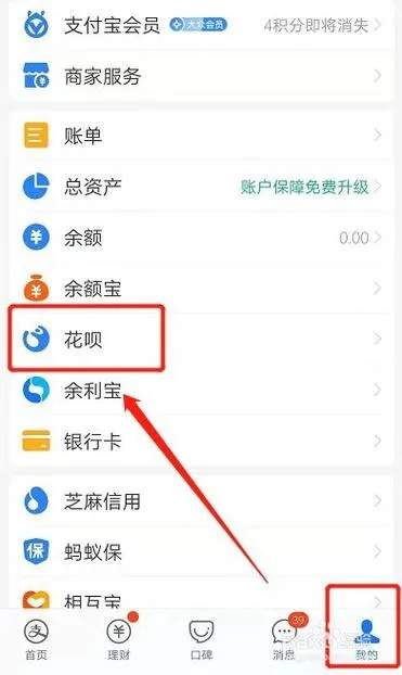 轻松操作，教你如何让花呗自己提现，告别繁琐步骤！