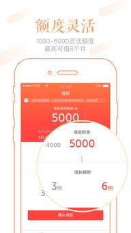 轻松搞定分期乐提现，让你钱袋子鼓起来！