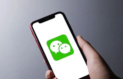 揭秘！如何安全查看女朋友微信聊天记录，让你不再猜疑！