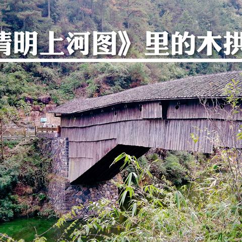泰顺品牌装修公司—品质与美学的完美融合