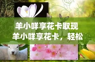 羊小咩享花卡取现攻略，轻松操作，享受便捷生活