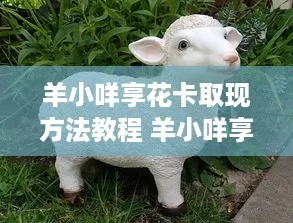 轻松开羊小咩享花卡，轻松取现攻略大揭秘！