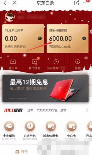 轻松开京东白条，教你如何取现操作指南