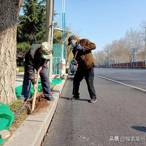 莱州装修水泥品牌选择指南