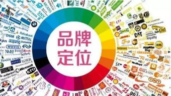 小状元母婴品牌的市场定位与品牌实力分析