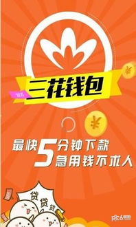 金融羊小咩享花卡套出来教程，轻松解锁你的消费新天地！