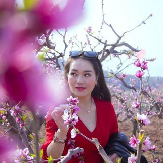 探索色彩的奥秘，化妆品牌色的魅力