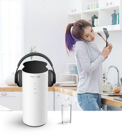 母婴净水机品牌的选择与重要性