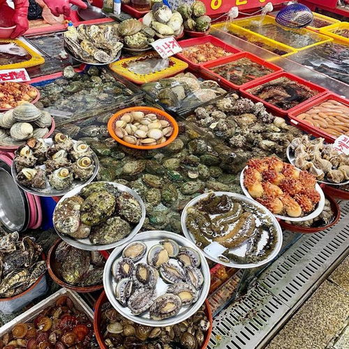 河南海鲜餐饮品牌，味蕾之旅的新篇章