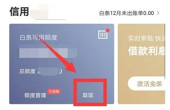 轻松摆脱白条利息负担，教你如何免除白条提现利息！