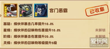 轻松解锁白条额度，快速提现攻略大揭秘！