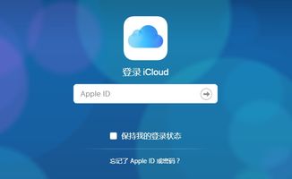 轻松搞定！教你如何快速将花呗的钱提现到账