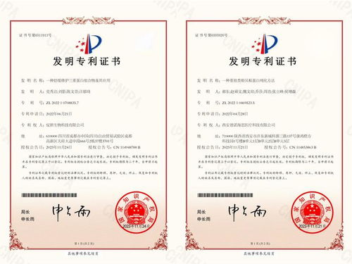 母婴品牌线上授权书，开启品牌新篇章