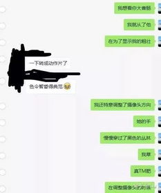 揭秘微信聊天记录偷看技巧，安全与隐私的边界探索