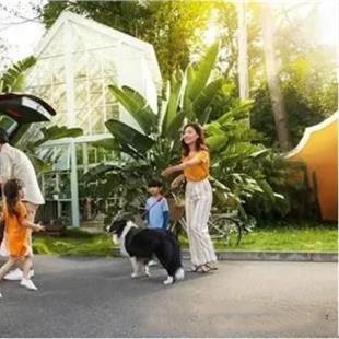 QQ聊天记录怎么删不掉？X1案例解析及解决方法