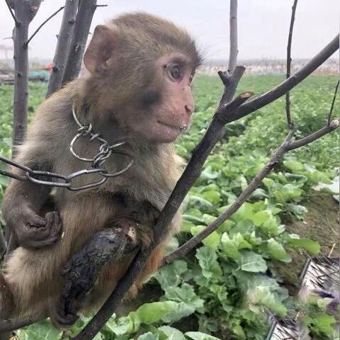桐庐家电纸箱批发品牌—品质与服务的典范