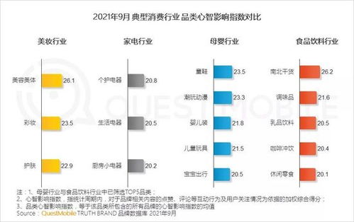 电商母婴品牌建设策略研究