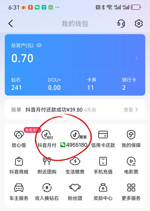揭秘金融抖音月付取现额度，额度提升攻略与案例分享