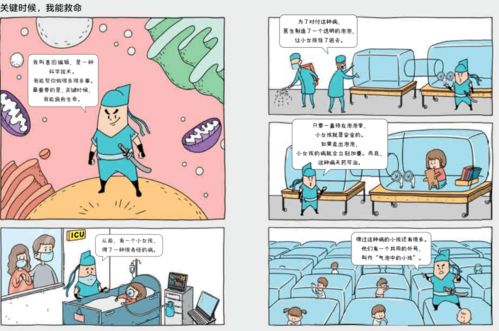 河南品牌装修价位解析，从入门到高端的全面指南