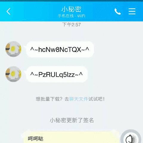 揭秘QQ聊天记录的秘密，如何查看别人的聊天记录？