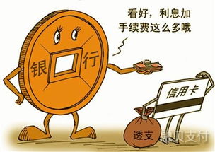 金融打击羊小咩便荔卡套出来，揭秘信用卡套现背后的风险与应对