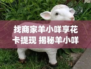 羊小咩享花卡额度提现攻略，轻松变现，让你的消费更灵活！