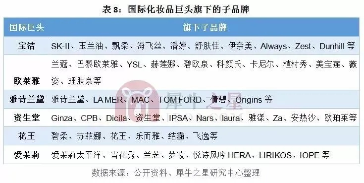 探索化妆品界的璀璨明珠，全球品牌比较分析