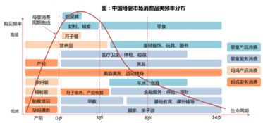 邵阳市母婴店概览，数量、分布与服务深度解析
