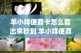羊小咩便荔卡里的钱怎么取？轻松攻略让你轻松操作！
