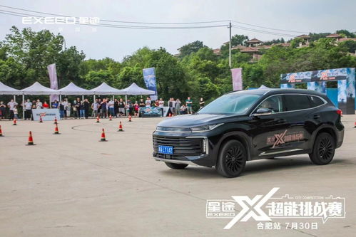 中国汽车品牌的困境与挑战