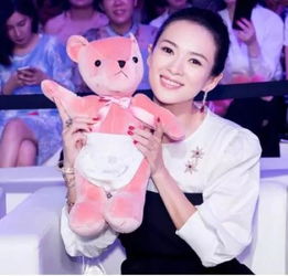 章子怡品牌母婴用品—爱的传递与责任的担当
