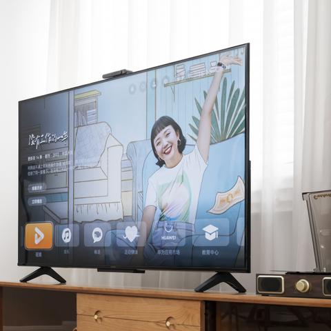 国产家电品牌崛起之路
