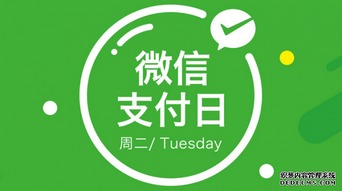 轻松提现到花呗，让你的消费更灵活！