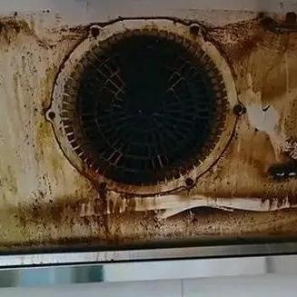 探索厨房电器的卓越品牌