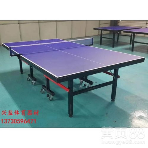 乒乓球桌户外品牌—探索户外运动新天地