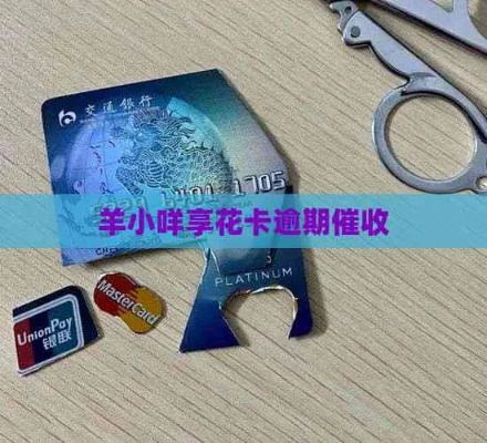 揭秘金东羊小咩享花卡信用购，教你轻松套现攻略！
