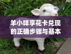 揭秘金东羊小咩享花卡钱怎么套出来，实操攻略与案例分析