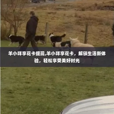 金东羊小咩享花卡，揭秘套卡攻略，轻松享受美好生活！