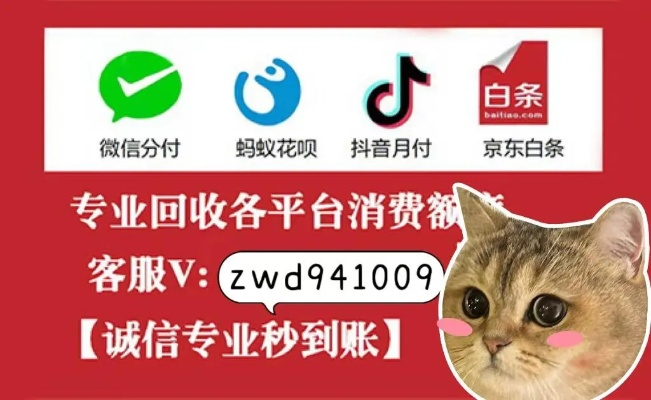 轻松攻略，如何将白条提现完，让你的资金流动起来！