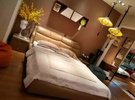 漯河家居品牌的崛起与未来展望