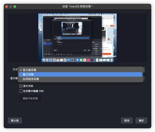 探索电脑屏幕的奥秘，品牌与技术的交响曲