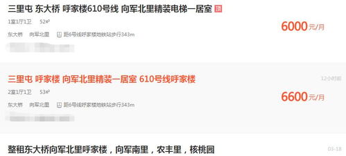 揭秘金东羊小咩便荔卡商家套现背后的真相与案例分享